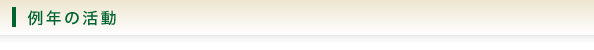 例年の活動